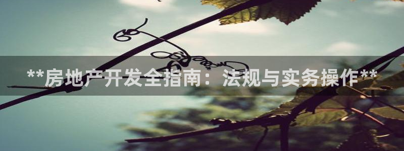 永利 陈志玲