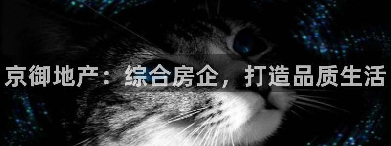 永利集团董事长