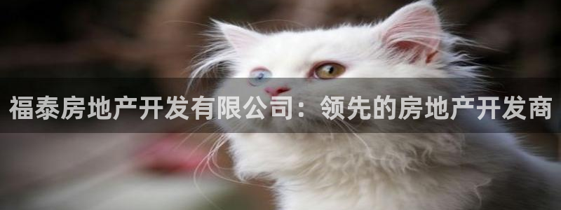 永利输送带