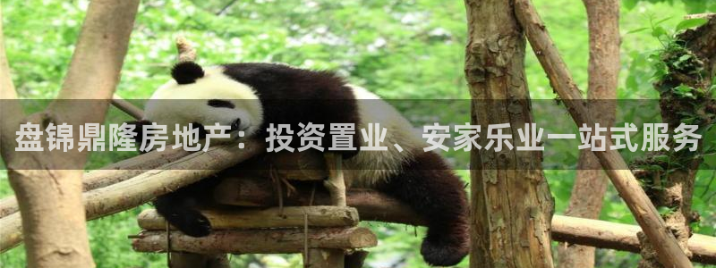 永利官网查询系统