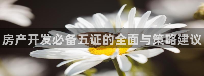 鄂尔多斯永利煤矿老板