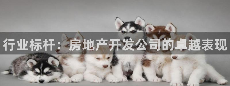 永利皮带官网价格查询表