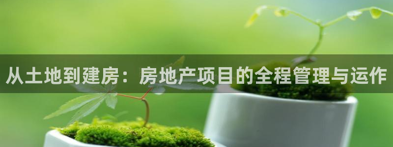 永利皮带报价