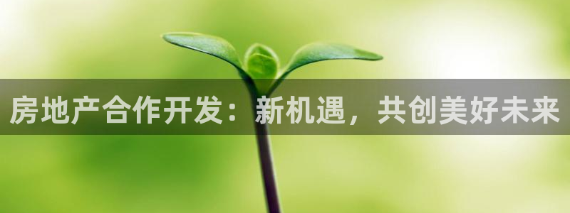 永利带业股票