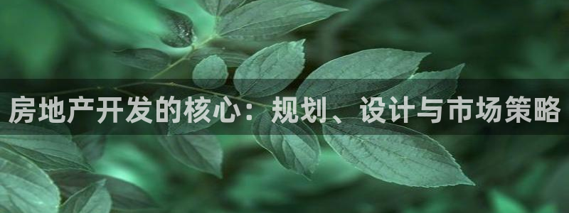 永利制带