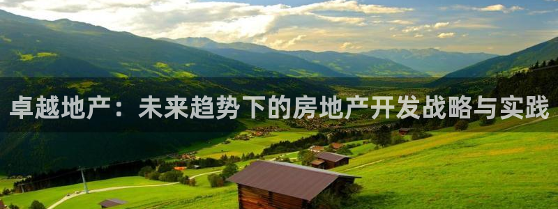 永利中国集团