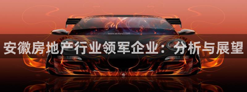 永利网会员