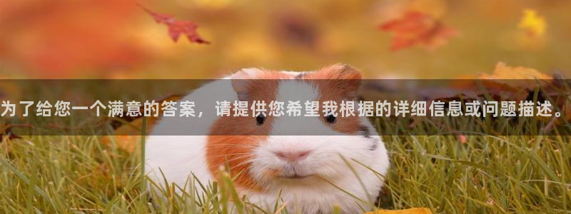 永利皮带