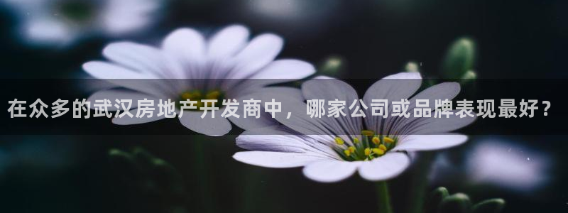 澳门永利集闭游误乐
